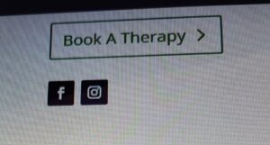 What the Book a Therapy Now button looks like