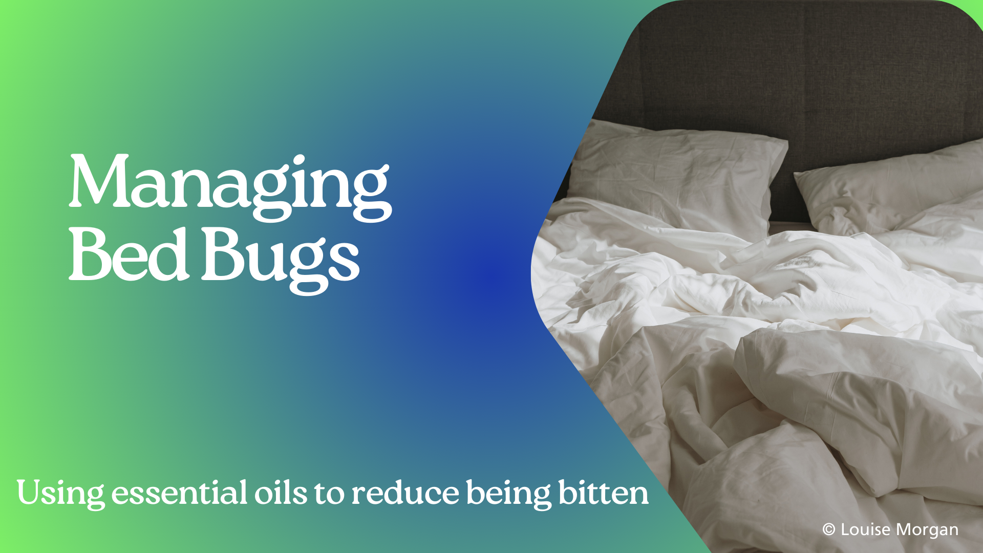 Managing bed bugs
